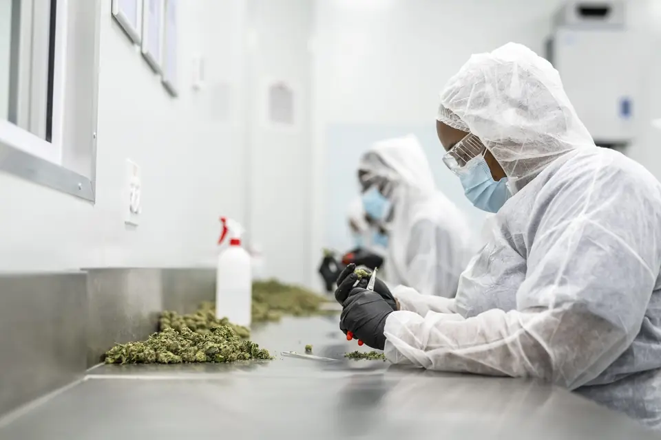 Biogenetics Labs facility photo