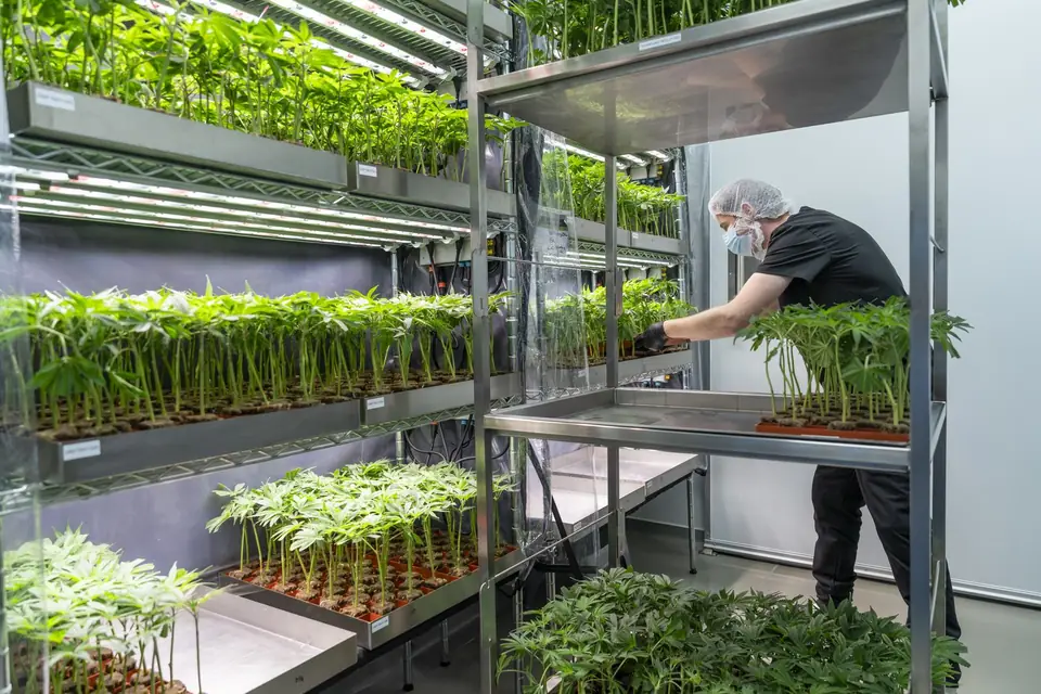 Biogenetics Labs facility photo