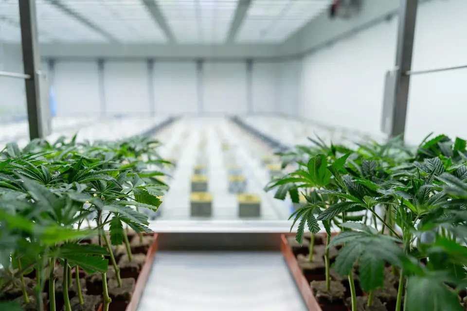 Biogenetics Labs facility photo