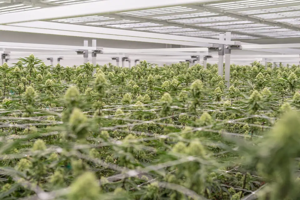 Biogenetics Labs facility photo