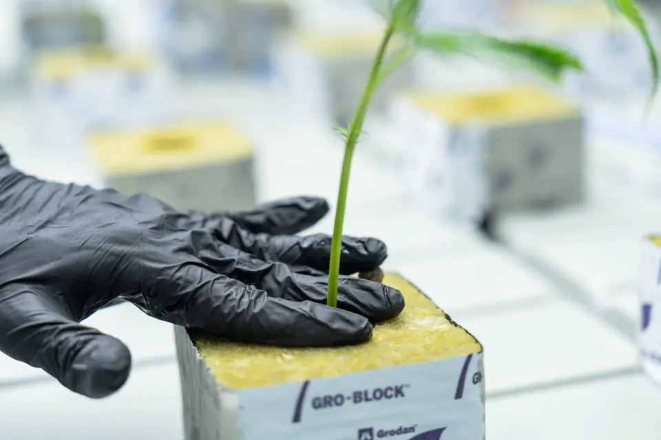 Biogenetics Labs facility photo