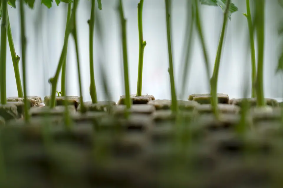 Biogenetics Labs facility photo