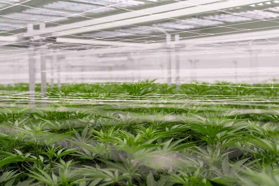 Biogenetics Labs facility photo