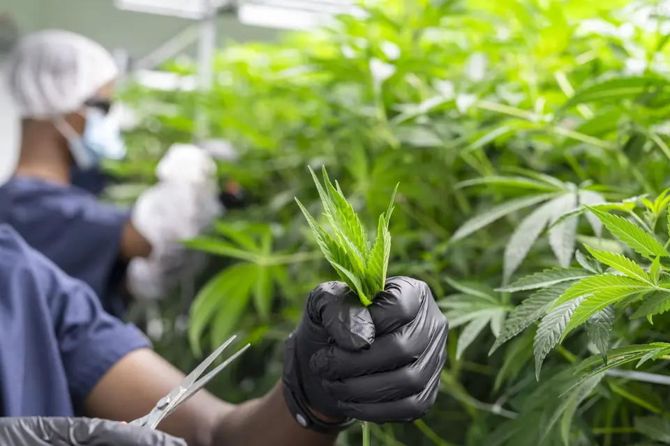 Biogenetics Labs facility photo