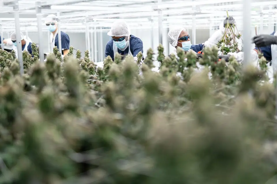 Biogenetics Labs facility photo