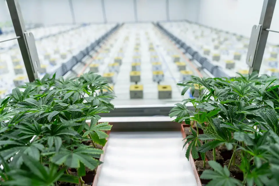 Biogenetics Labs facility photo