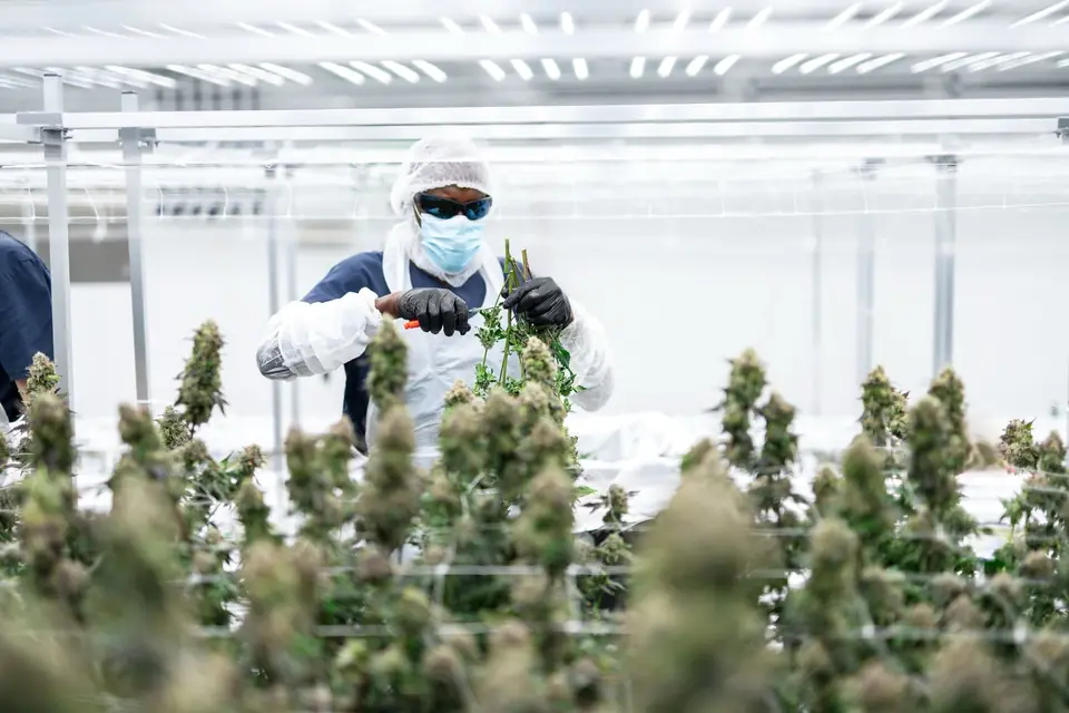Biogenetics Labs facility photo